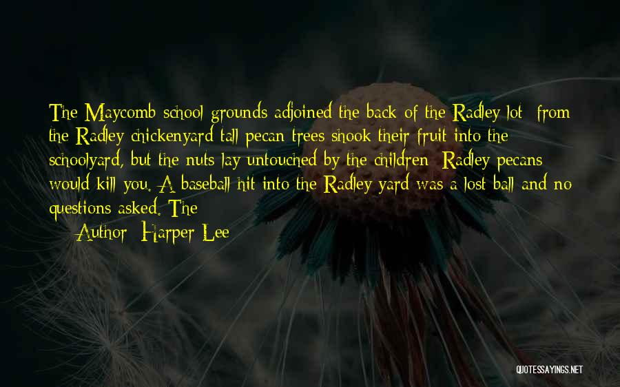 Harper Lee Quotes: The Maycomb School Grounds Adjoined The Back Of The Radley Lot; From The Radley Chickenyard Tall Pecan Trees Shook Their