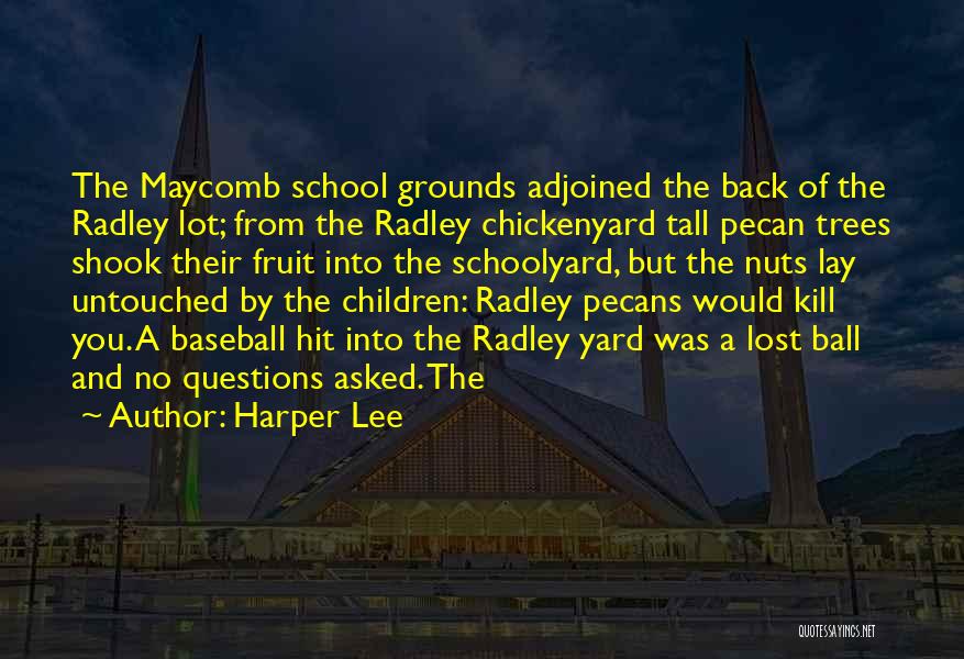 Harper Lee Quotes: The Maycomb School Grounds Adjoined The Back Of The Radley Lot; From The Radley Chickenyard Tall Pecan Trees Shook Their