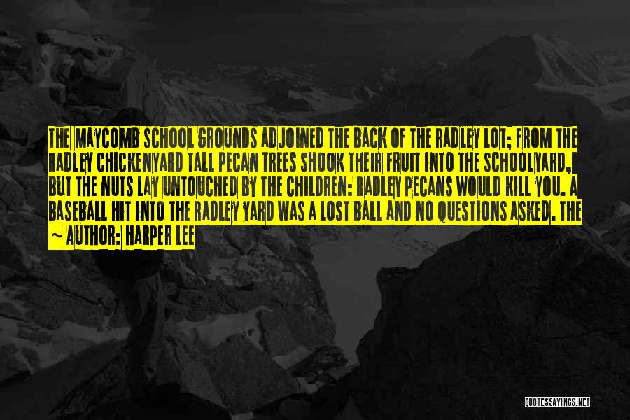 Harper Lee Quotes: The Maycomb School Grounds Adjoined The Back Of The Radley Lot; From The Radley Chickenyard Tall Pecan Trees Shook Their