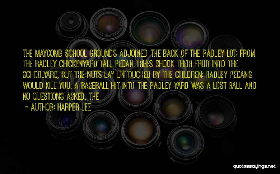 Harper Lee Quotes: The Maycomb School Grounds Adjoined The Back Of The Radley Lot; From The Radley Chickenyard Tall Pecan Trees Shook Their