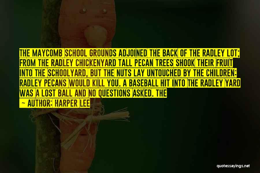 Harper Lee Quotes: The Maycomb School Grounds Adjoined The Back Of The Radley Lot; From The Radley Chickenyard Tall Pecan Trees Shook Their