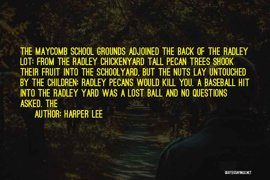 Harper Lee Quotes: The Maycomb School Grounds Adjoined The Back Of The Radley Lot; From The Radley Chickenyard Tall Pecan Trees Shook Their