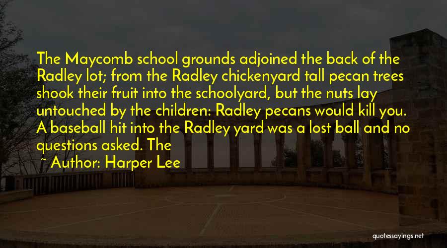 Harper Lee Quotes: The Maycomb School Grounds Adjoined The Back Of The Radley Lot; From The Radley Chickenyard Tall Pecan Trees Shook Their