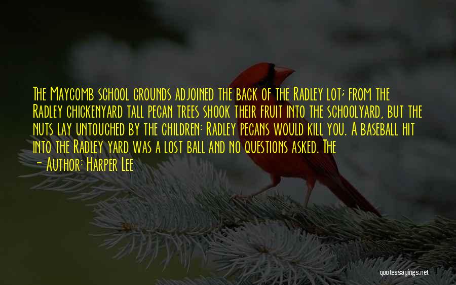 Harper Lee Quotes: The Maycomb School Grounds Adjoined The Back Of The Radley Lot; From The Radley Chickenyard Tall Pecan Trees Shook Their