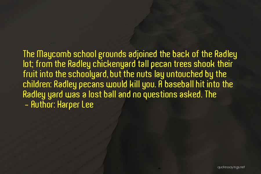 Harper Lee Quotes: The Maycomb School Grounds Adjoined The Back Of The Radley Lot; From The Radley Chickenyard Tall Pecan Trees Shook Their