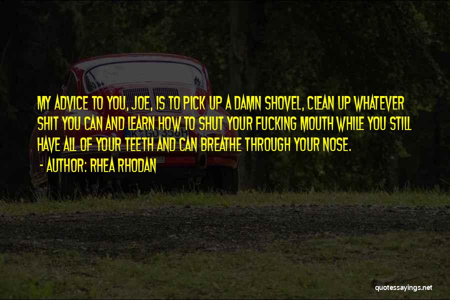 Rhea Rhodan Quotes: My Advice To You, Joe, Is To Pick Up A Damn Shovel, Clean Up Whatever Shit You Can And Learn