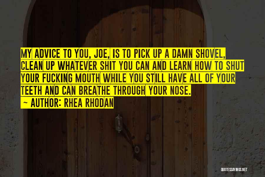 Rhea Rhodan Quotes: My Advice To You, Joe, Is To Pick Up A Damn Shovel, Clean Up Whatever Shit You Can And Learn