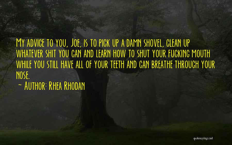 Rhea Rhodan Quotes: My Advice To You, Joe, Is To Pick Up A Damn Shovel, Clean Up Whatever Shit You Can And Learn