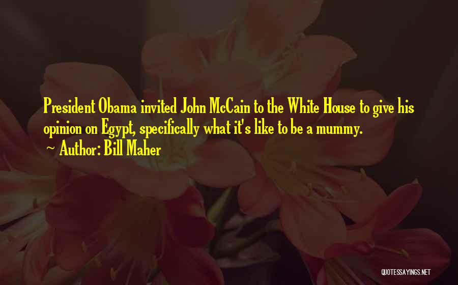 Bill Maher Quotes: President Obama Invited John Mccain To The White House To Give His Opinion On Egypt, Specifically What It's Like To