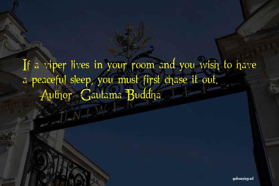 Gautama Buddha Quotes: If A Viper Lives In Your Room And You Wish To Have A Peaceful Sleep, You Must First Chase It