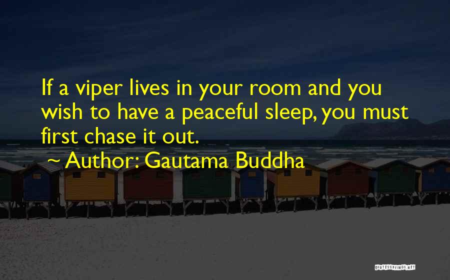 Gautama Buddha Quotes: If A Viper Lives In Your Room And You Wish To Have A Peaceful Sleep, You Must First Chase It