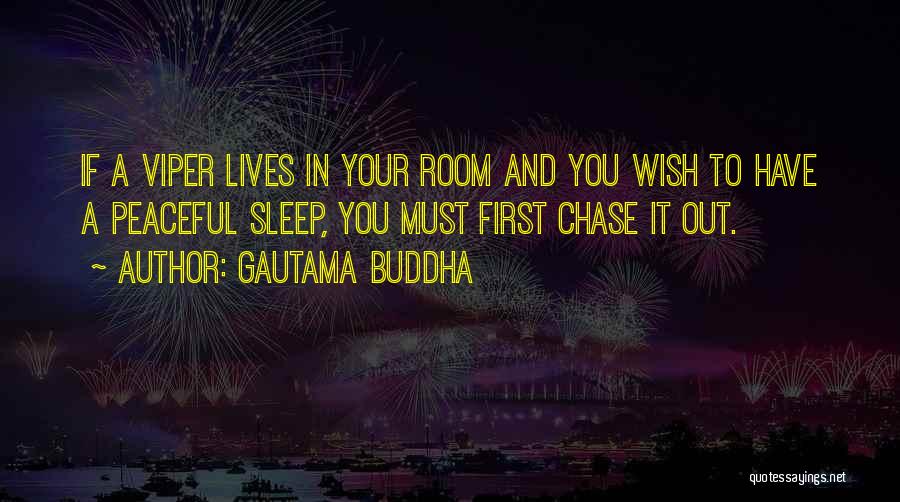 Gautama Buddha Quotes: If A Viper Lives In Your Room And You Wish To Have A Peaceful Sleep, You Must First Chase It