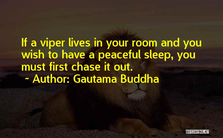 Gautama Buddha Quotes: If A Viper Lives In Your Room And You Wish To Have A Peaceful Sleep, You Must First Chase It