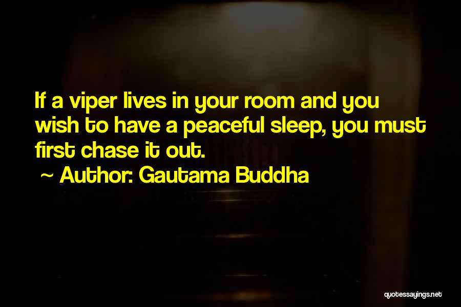 Gautama Buddha Quotes: If A Viper Lives In Your Room And You Wish To Have A Peaceful Sleep, You Must First Chase It