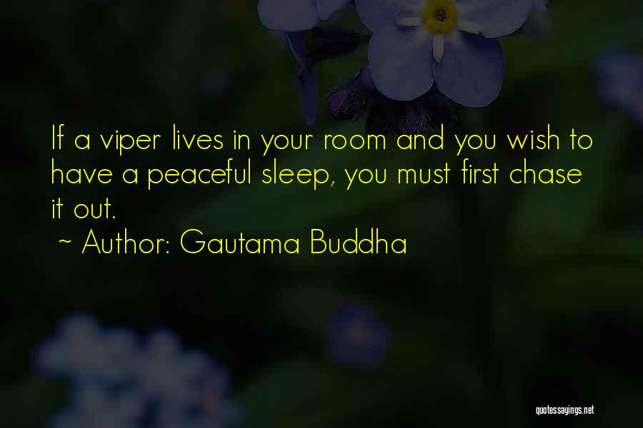 Gautama Buddha Quotes: If A Viper Lives In Your Room And You Wish To Have A Peaceful Sleep, You Must First Chase It