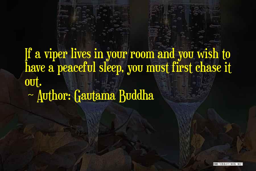 Gautama Buddha Quotes: If A Viper Lives In Your Room And You Wish To Have A Peaceful Sleep, You Must First Chase It