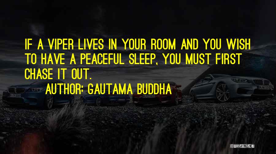 Gautama Buddha Quotes: If A Viper Lives In Your Room And You Wish To Have A Peaceful Sleep, You Must First Chase It