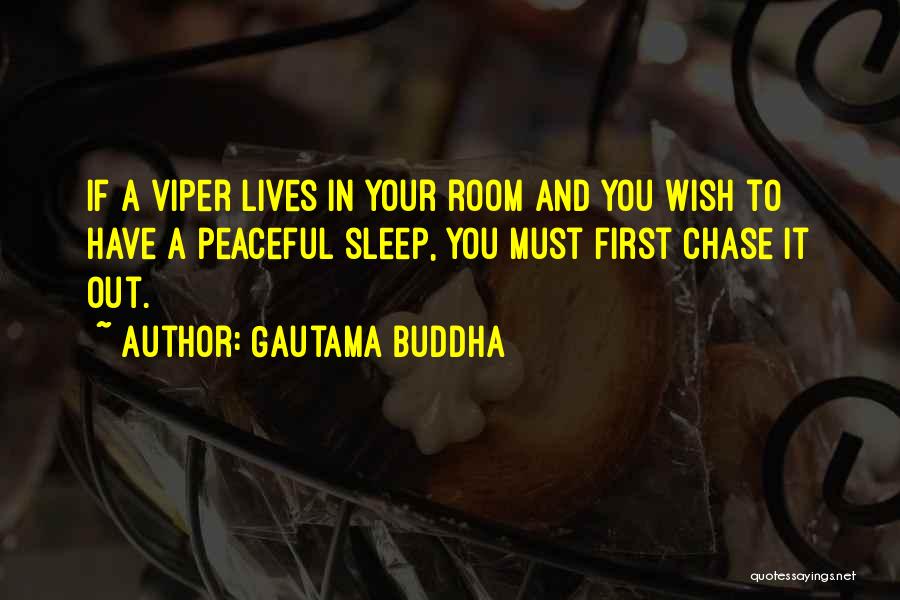 Gautama Buddha Quotes: If A Viper Lives In Your Room And You Wish To Have A Peaceful Sleep, You Must First Chase It