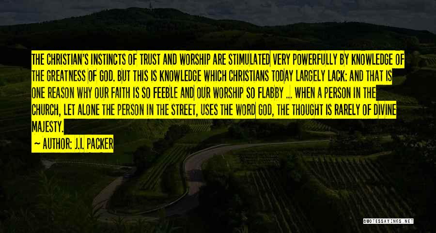 J.I. Packer Quotes: The Christian's Instincts Of Trust And Worship Are Stimulated Very Powerfully By Knowledge Of The Greatness Of God. But This
