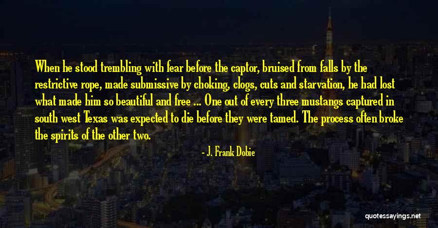 3999 Quotes By J. Frank Dobie 3999 Quotes By J. Frank Dobie