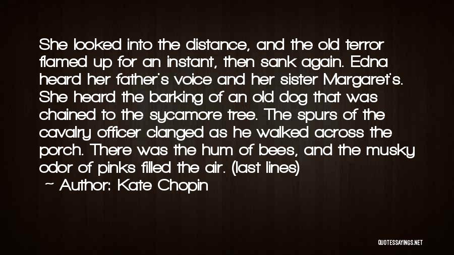 Kate Chopin Quotes: She Looked Into The Distance, And The Old Terror Flamed Up For An Instant, Then Sank Again. Edna Heard Her