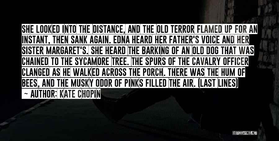 Kate Chopin Quotes: She Looked Into The Distance, And The Old Terror Flamed Up For An Instant, Then Sank Again. Edna Heard Her