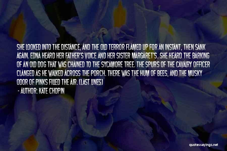 Kate Chopin Quotes: She Looked Into The Distance, And The Old Terror Flamed Up For An Instant, Then Sank Again. Edna Heard Her