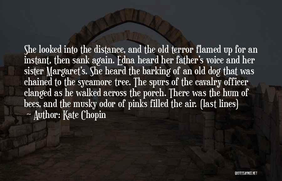 Kate Chopin Quotes: She Looked Into The Distance, And The Old Terror Flamed Up For An Instant, Then Sank Again. Edna Heard Her