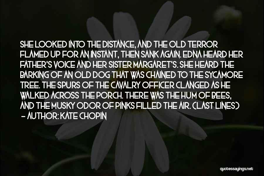 Kate Chopin Quotes: She Looked Into The Distance, And The Old Terror Flamed Up For An Instant, Then Sank Again. Edna Heard Her