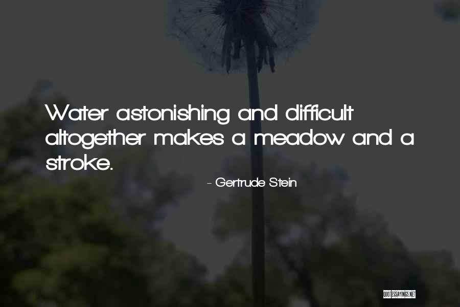 3itee Quotes By Gertrude Stein