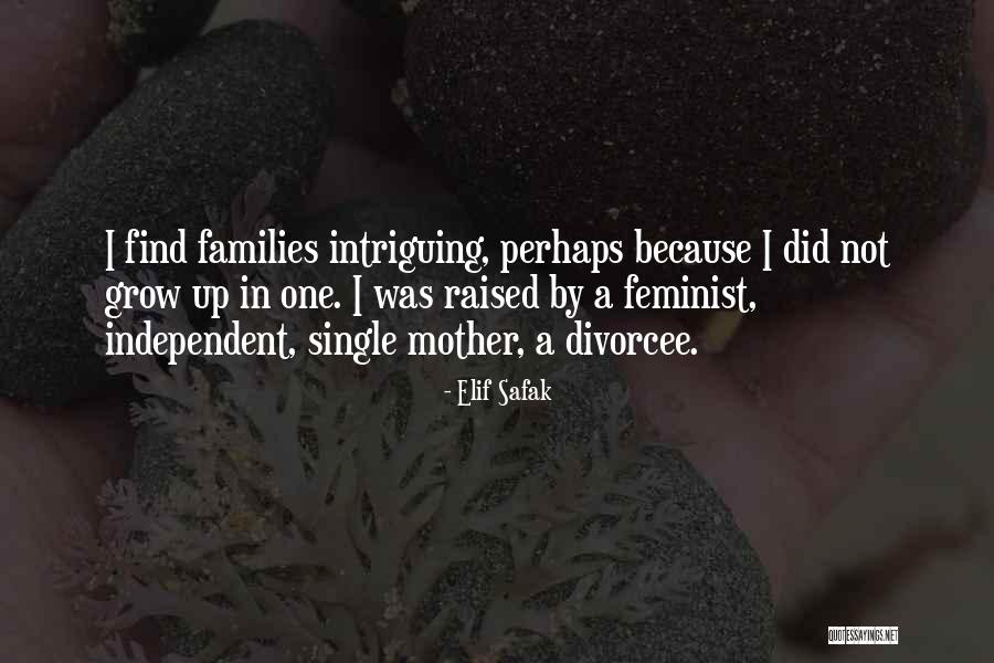 3what Is The Missing Quotes By Elif Safak 3what Is The Missing Quotes By Elif Safak