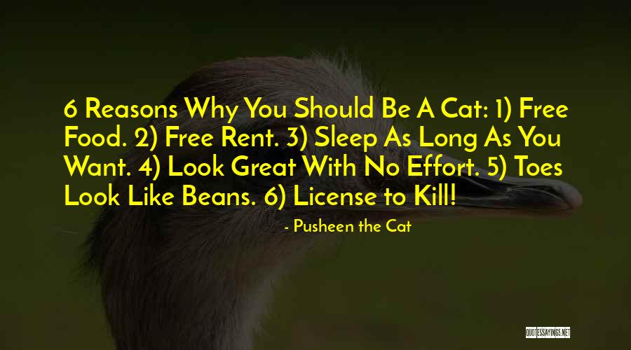 4 Free Quotes By Pusheen The Cat 4 Free Quotes By Pusheen The Cat