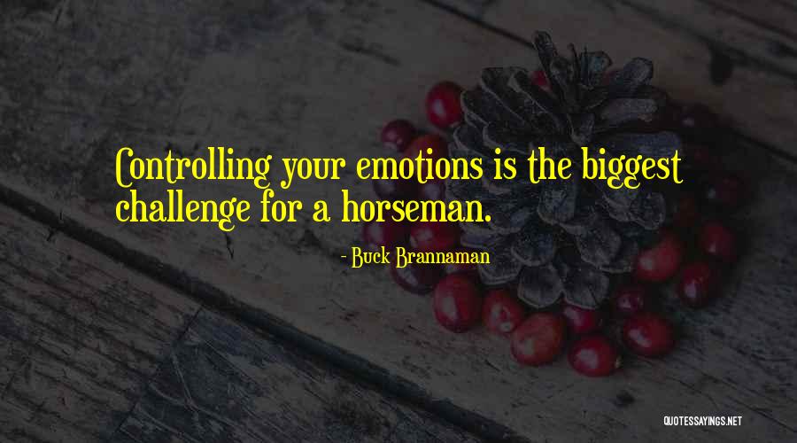 4 Horsemen Quotes By Buck Brannaman