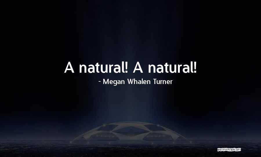 4 Levels Of Execution Quotes By Megan Whalen Turner