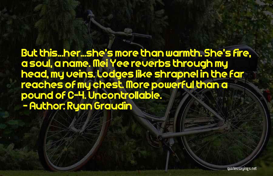 4 Mei Quotes By Ryan Graudin