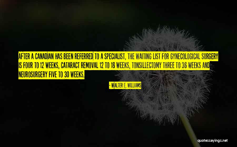 4 Weeks 6 Weeks 12 Weeks Quotes By Walter E. Williams 4 Weeks 6 Weeks 12 Weeks Quotes By Walter E. Williams