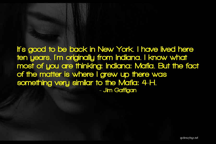 4 Years Quotes By Jim Gaffigan 4 Years Quotes By Jim Gaffigan