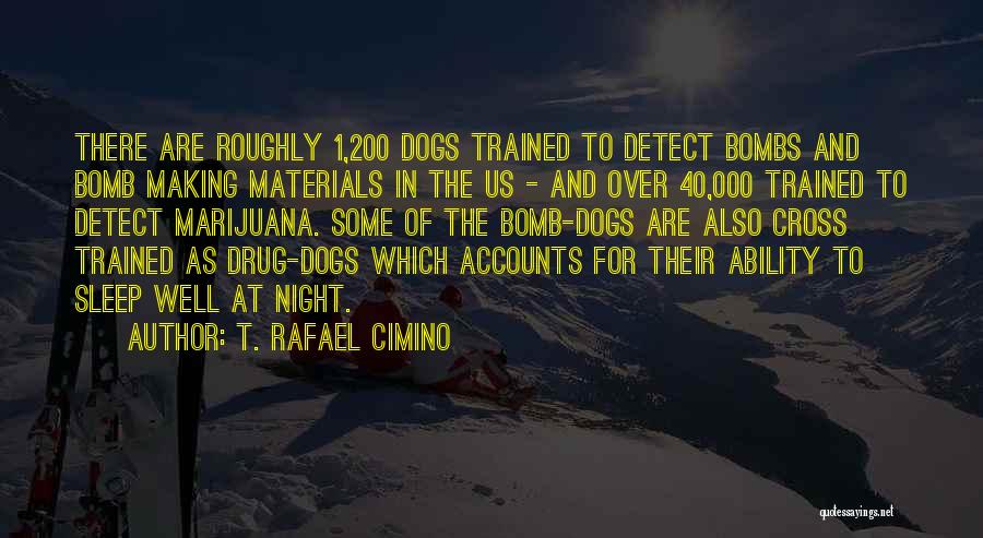 40 And Over Quotes By T. Rafael Cimino