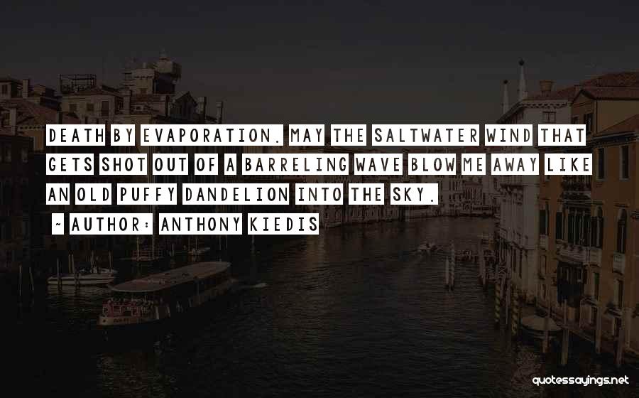 Anthony Kiedis Quotes: Death By Evaporation. May The Saltwater Wind That Gets Shot Out Of A Barreling Wave Blow Me Away Like An