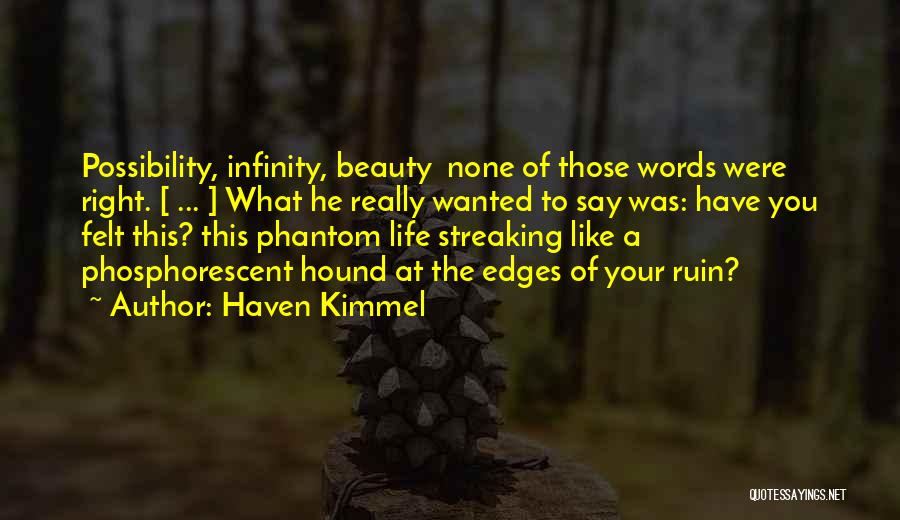 Haven Kimmel Quotes: Possibility, Infinity, Beauty None Of Those Words Were Right. [ ... ] What He Really Wanted To Say Was: Have