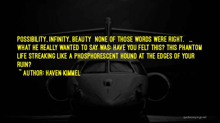 Haven Kimmel Quotes: Possibility, Infinity, Beauty None Of Those Words Were Right. [ ... ] What He Really Wanted To Say Was: Have