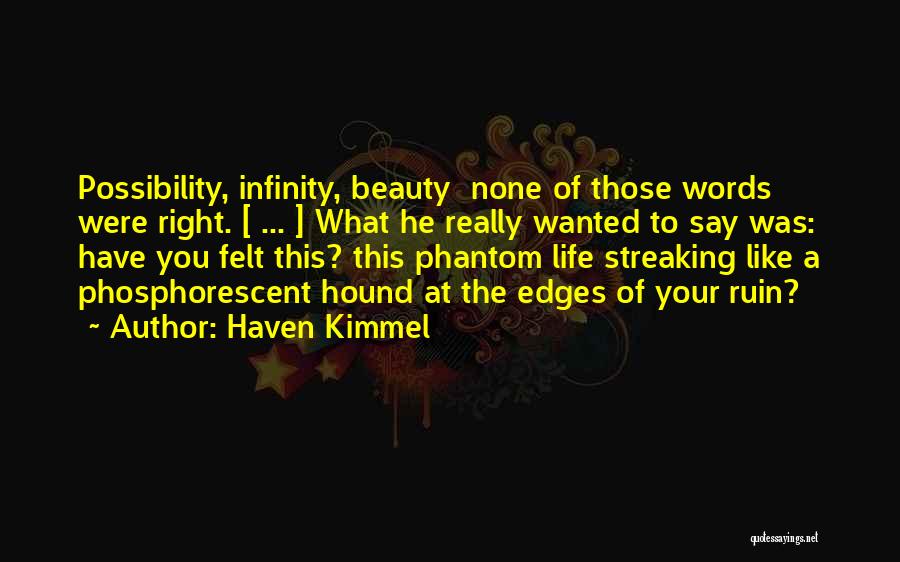 Haven Kimmel Quotes: Possibility, Infinity, Beauty None Of Those Words Were Right. [ ... ] What He Really Wanted To Say Was: Have