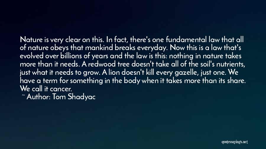 Tom Shadyac Quotes: Nature Is Very Clear On This. In Fact, There's One Fundamental Law That All Of Nature Obeys That Mankind Breaks