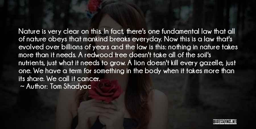 Tom Shadyac Quotes: Nature Is Very Clear On This. In Fact, There's One Fundamental Law That All Of Nature Obeys That Mankind Breaks