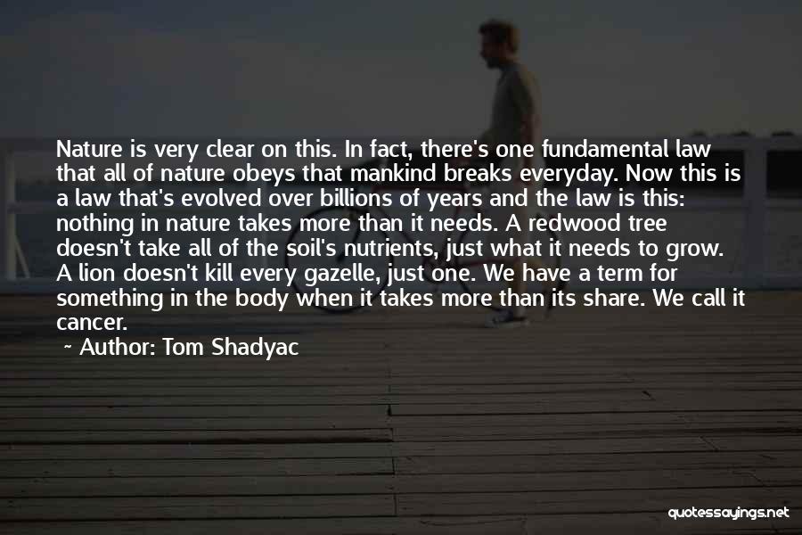 Tom Shadyac Quotes: Nature Is Very Clear On This. In Fact, There's One Fundamental Law That All Of Nature Obeys That Mankind Breaks