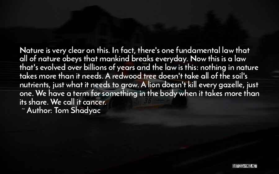 Tom Shadyac Quotes: Nature Is Very Clear On This. In Fact, There's One Fundamental Law That All Of Nature Obeys That Mankind Breaks