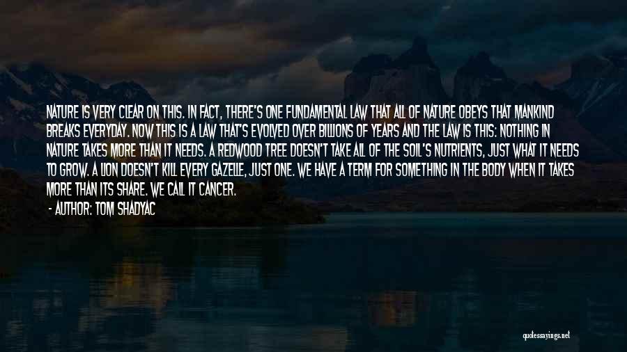 Tom Shadyac Quotes: Nature Is Very Clear On This. In Fact, There's One Fundamental Law That All Of Nature Obeys That Mankind Breaks