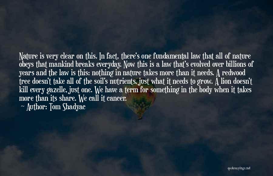 Tom Shadyac Quotes: Nature Is Very Clear On This. In Fact, There's One Fundamental Law That All Of Nature Obeys That Mankind Breaks
