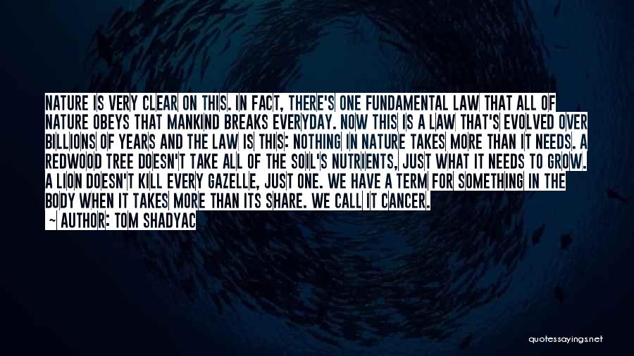 Tom Shadyac Quotes: Nature Is Very Clear On This. In Fact, There's One Fundamental Law That All Of Nature Obeys That Mankind Breaks