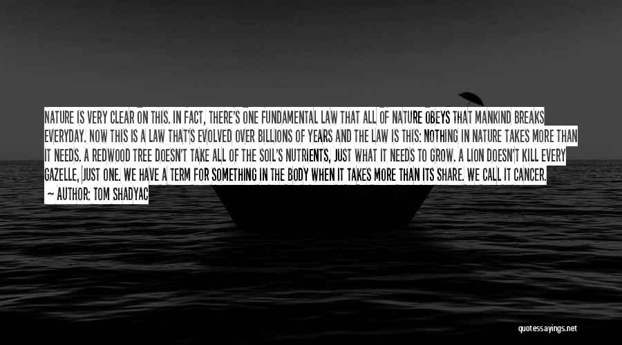 Tom Shadyac Quotes: Nature Is Very Clear On This. In Fact, There's One Fundamental Law That All Of Nature Obeys That Mankind Breaks